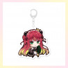 HACONECT BIG Acrylic Keychain - Gen 4